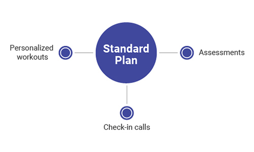 Standard Online Personal Training Plan